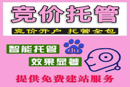 SEM广告投放技巧：从失败到成功的转变案例